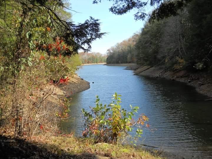 A serene view of a winding river surrounded by lush greenery and trees, with hints of autumn colors in the foliage. The water reflects the clear blue sky, and the banks of the river are lined with natural vegetation. Sheltowee Trace - Laurel Lake Trail mountain bike trail.