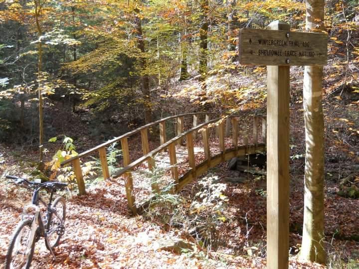 A winding wooden bridge crosses a small stream in a forested area adorned with vibrant autumn leaves. In the foreground, a mountain bike rests on the path next to a wooden trail sign indicating "Wintergreen Trail 460" and "Shelbourn Trace Natural." The scene captures the tranquility of nature during fall. Sheltowee Trace - Laurel Lake Trail mountain bike trail.