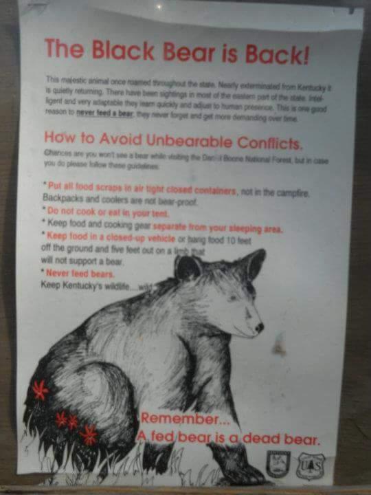 A notice about black bears in Kentucky, emphasizing their return and the importance of not feeding them. The poster includes tips for avoiding conflicts with bears while visiting Daniel Boone National Forest, such as storing food properly and keeping it separate from sleeping areas. A black bear illustration is featured alongside important reminders. Sheltowee Trace - Laurel Lake Trail mountain bike trail.