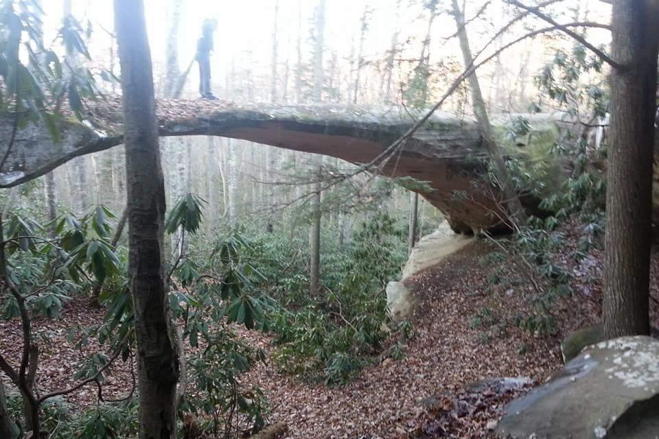 A person walking on a natural stone bridge in a wooded area, surrounded by trees and greenery. The ground is covered with fallen leaves, and the scene captures a tranquil, natural environment. Big South Fork mountain bike trail.