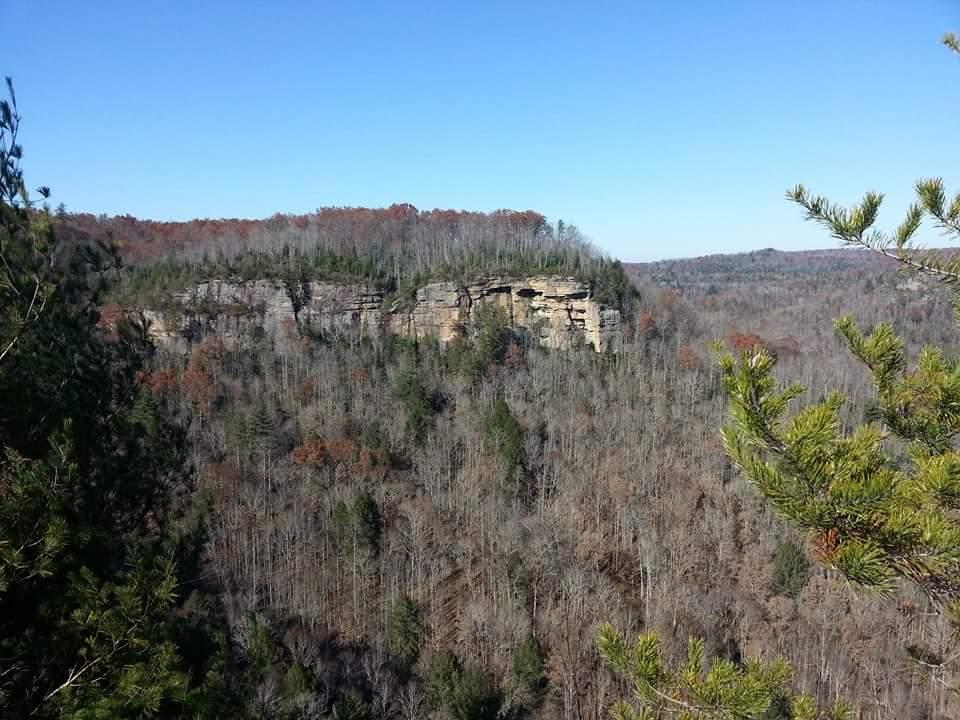 A scenic view of a rugged cliffside surrounded by a dense forest, featuring a mix of green coniferous trees and bare deciduous trees, indicating late autumn. The clear blue sky contrasts with the earthy tones of the landscape. Big South Fork mountain bike trail.