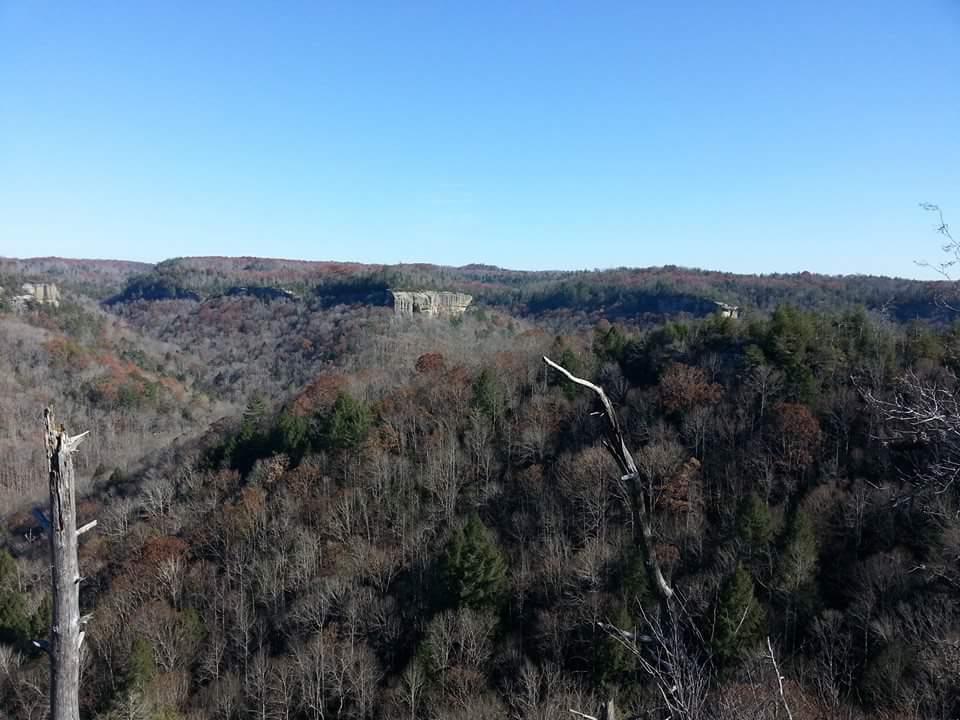 A panoramic view of a mountainous landscape featuring a mix of evergreen and deciduous trees, with a clear blue sky overhead. The scene showcases rolling hills, rocky outcrops, and a few distant cliff formations, indicating a serene natural environment. A dead tree trunk stands prominently in the foreground. Big South Fork mountain bike trail.