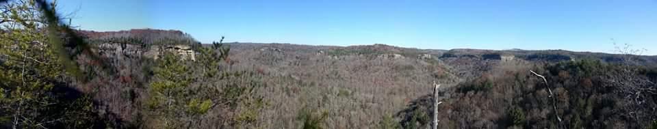 A panoramic view of a dense forested landscape under a clear blue sky, showcasing rolling hills and cliffs in the distance, indicating a natural outdoor setting in autumn or early winter. Big South Fork mountain bike trail.