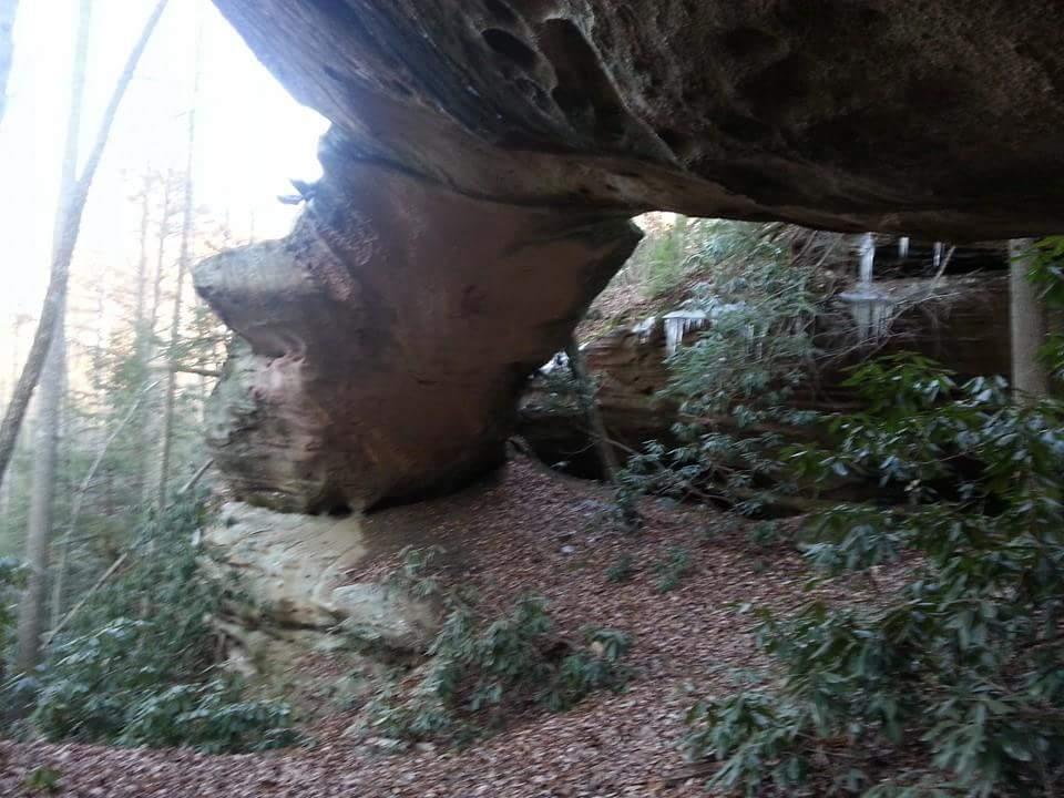 A natural rock formation with an overhanging ledge, surrounded by trees and greenery. The ground is covered in brown leaves, and there are icicles hanging from the rock. The scene is set in a wooded area, capturing the tranquility of nature. Big South Fork mountain bike trail.