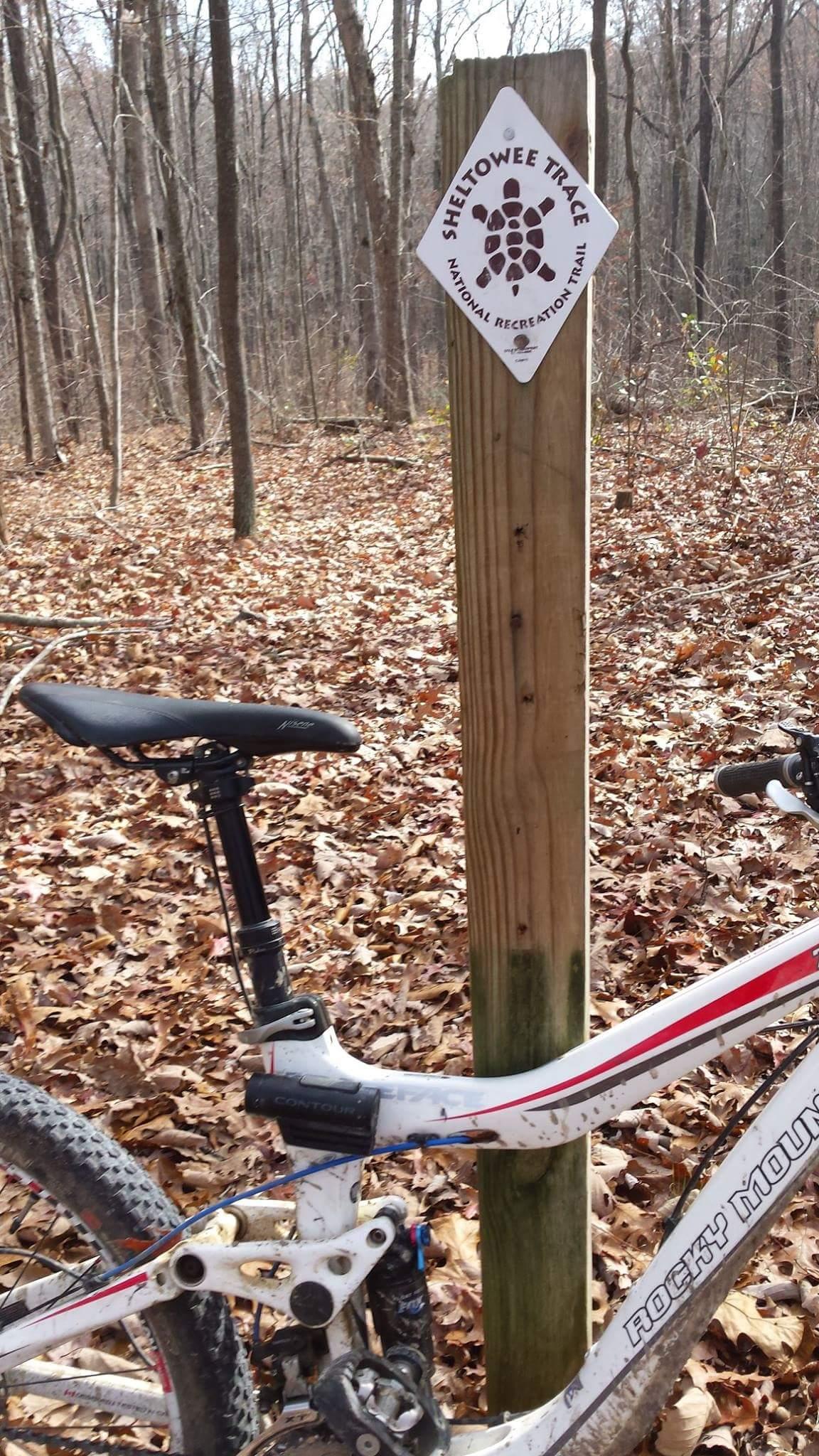 A mountain bike partially visible on a forest trail, with a wooden post beside it displaying a sign that reads "SHELTOSEE TRACE NATIONAL RECREATION TRAIL." The ground is covered in fallen leaves, and bare trees are visible in the background, indicating a wooded area in late autumn. Big South Fork mountain bike trail.