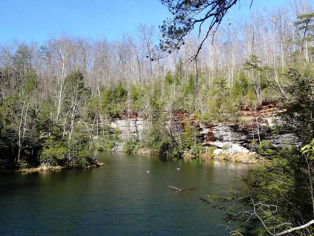 A serene landscape featuring a tranquil lake surrounded by cliffs and a mix of deciduous and coniferous trees. The scene is set under a clear blue sky, with some trees still bare, indicating early spring or late autumn. Small ducks can be seen floating on the water's surface, adding to the peaceful ambiance. Big South Fork mountain bike trail.