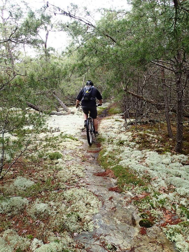 A mountain biker rides along a narrow, rocky path surrounded by dense trees and lush green moss. The scene captures the tranquility of the forest, with soft lighting filtering through the branches. Big South Fork mountain bike trail.