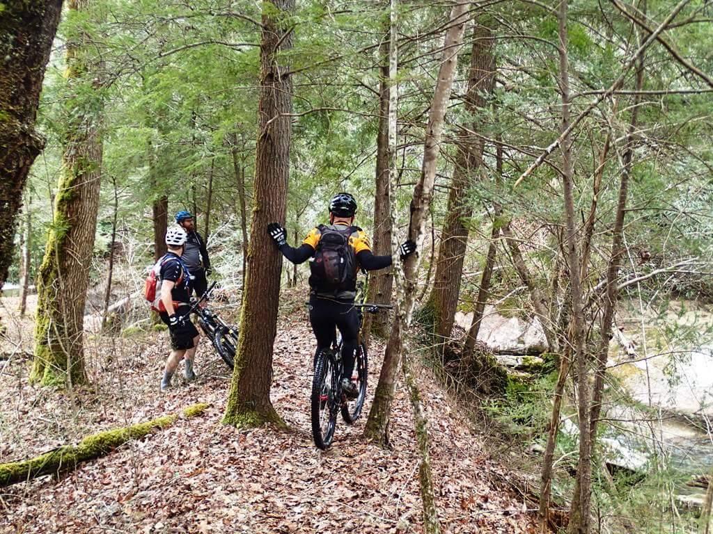 Three mountain bikers navigating a forested trail, surrounded by trees and fallen leaves. Two riders are standing beside their bikes, while the third appears to be looking towards them. The background features a stream and rocky terrain, indicating a natural outdoor setting. Big South Fork mountain bike trail.
