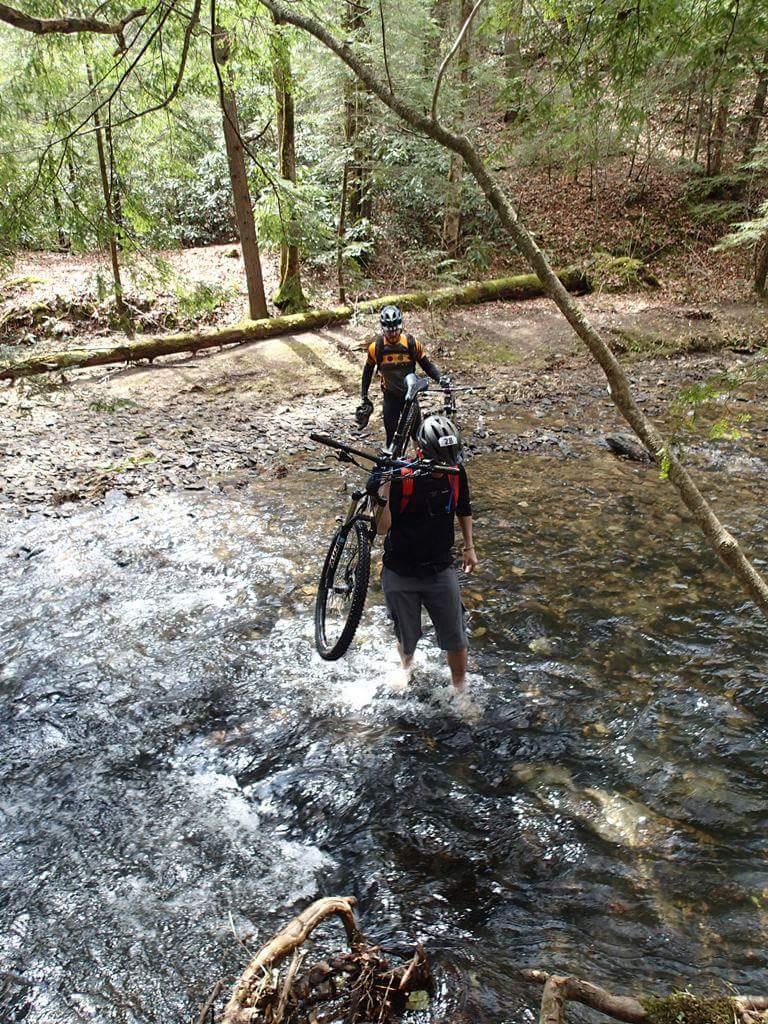 Two mountain bikers are navigating through a shallow stream in a wooded area. One biker is carrying their bike across the water while standing in the stream, and the other biker is standing on the bank, assisting. The scene is surrounded by lush greenery and trees, with sunlight filtering through the leaves. Big South Fork mountain bike trail.