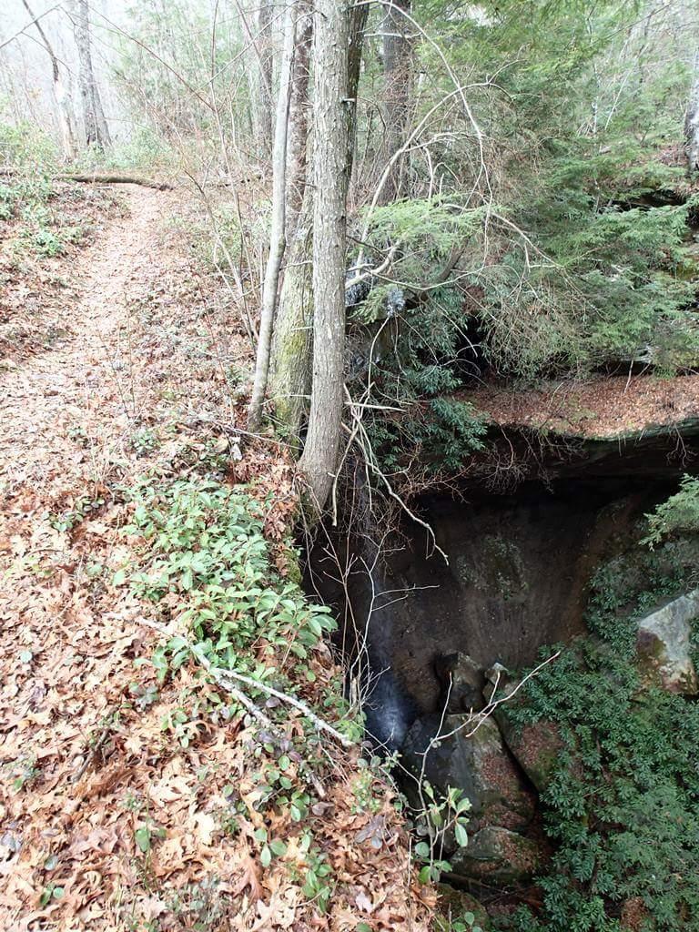 A forested trail curving alongside a steep drop-off, revealing a rocky outcrop with a small stream cascading down. Surrounding the area are various trees and underbrush, with fallen leaves covering the ground. Big South Fork mountain bike trail.