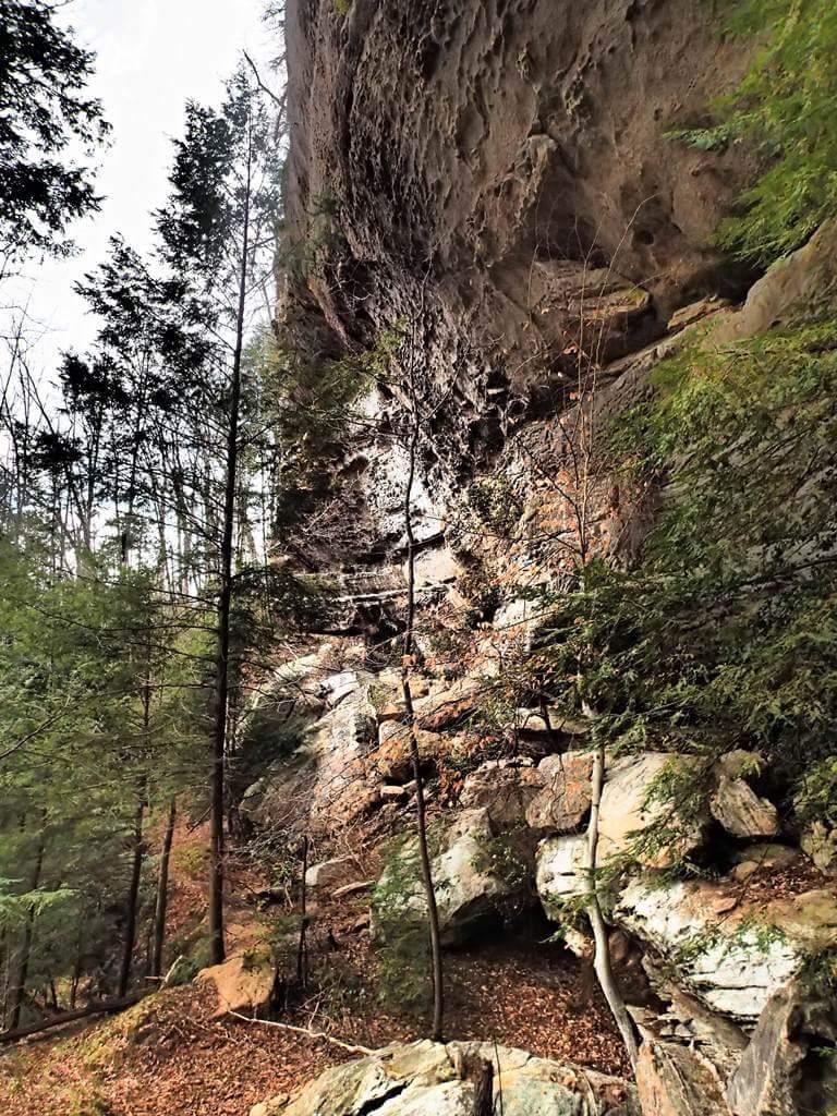 A rocky cliffside surrounded by tall trees in a forest. The scene shows a combination of rugged rock formations and earthy ground covered in fallen leaves, with hints of greenery from nearby vegetation. Natural light filters through the trees, illuminating the textures of the rocks and foliage. Big South Fork mountain bike trail.