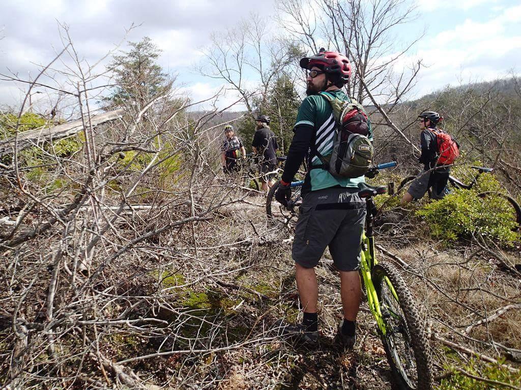 A group of mountain bikers navigating through a rocky and overgrown trail. The foreground shows one cyclist standing beside a green mountain bike, wearing a helmet and backpack. In the background, other riders are partially obscured by branches, surrounded by trees and underbrush. The sky is partly cloudy, suggesting a cool day for outdoor activity. Big South Fork mountain bike trail.