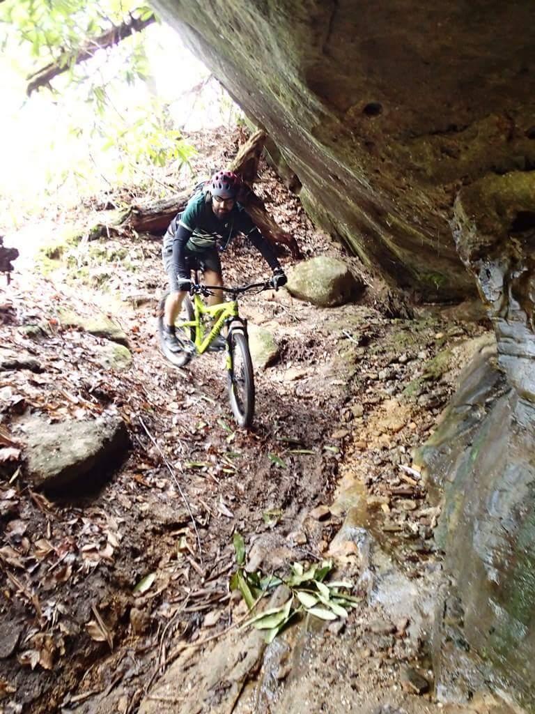 A mountain biker navigates a rugged trail surrounded by rocks and foliage, descending a steep section of narrow terrain. The biker is wearing a helmet and protective gear, focusing on maintaining balance on their yellow bike amidst the natural landscape. Big South Fork mountain bike trail.