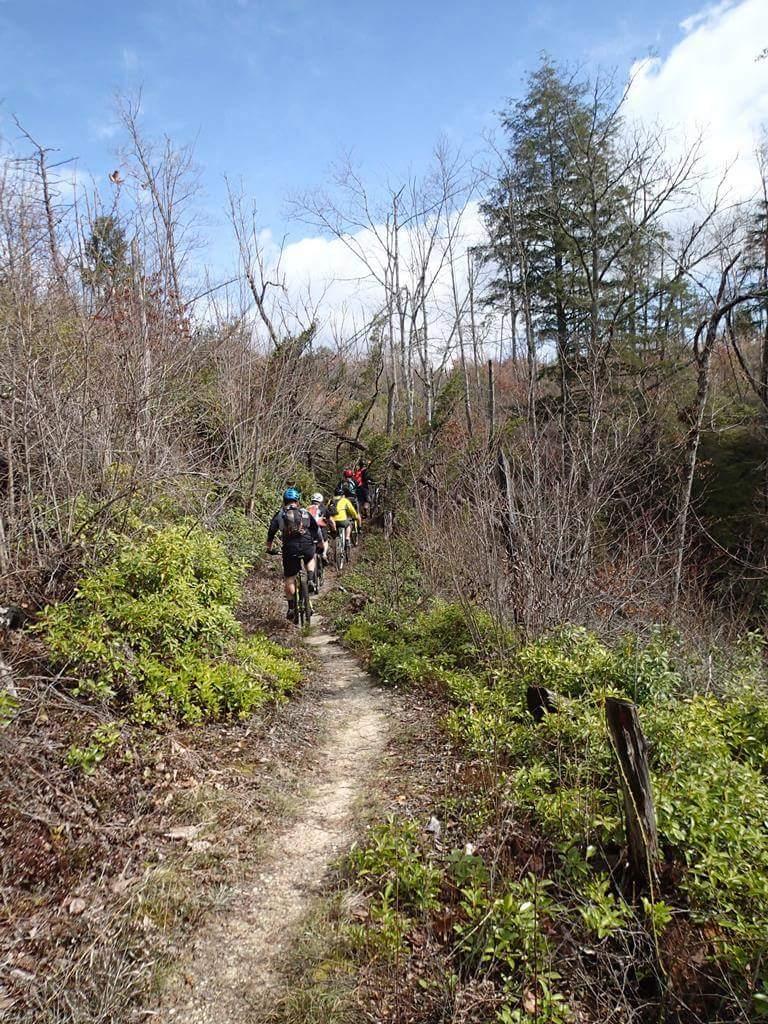 A group of cyclists riding on a narrow dirt trail surrounded by sparse trees and underbrush on a sunny day. The trail winds through a natural landscape with blue skies above. Big South Fork mountain bike trail.