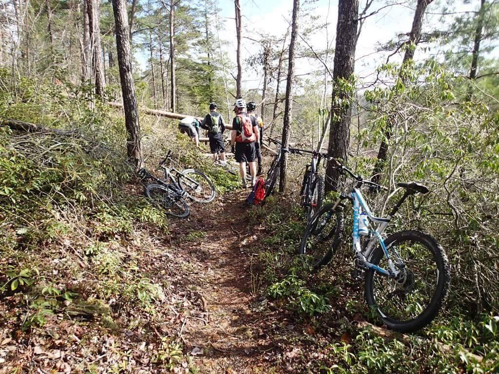 A group of mountain bikers resting on a forest trail, surrounded by trees and underbrush. Several bicycles are parked along the path as the riders take a break. The scene captures the natural beauty of the outdoors on a sunny day. Big South Fork mountain bike trail.