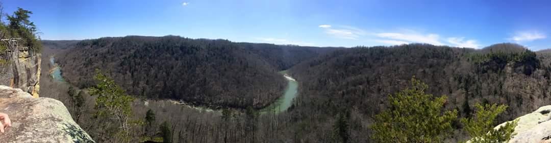 A panoramic view of a lush, wooded valley with a winding river. The landscape features rolling hills, bare trees, and patches of greenery under a clear blue sky. The scene captures the beauty of nature, showcasing both the rocky cliffs in the foreground and the expansive view of the forested terrain beyond. Big South Fork mountain bike trail.