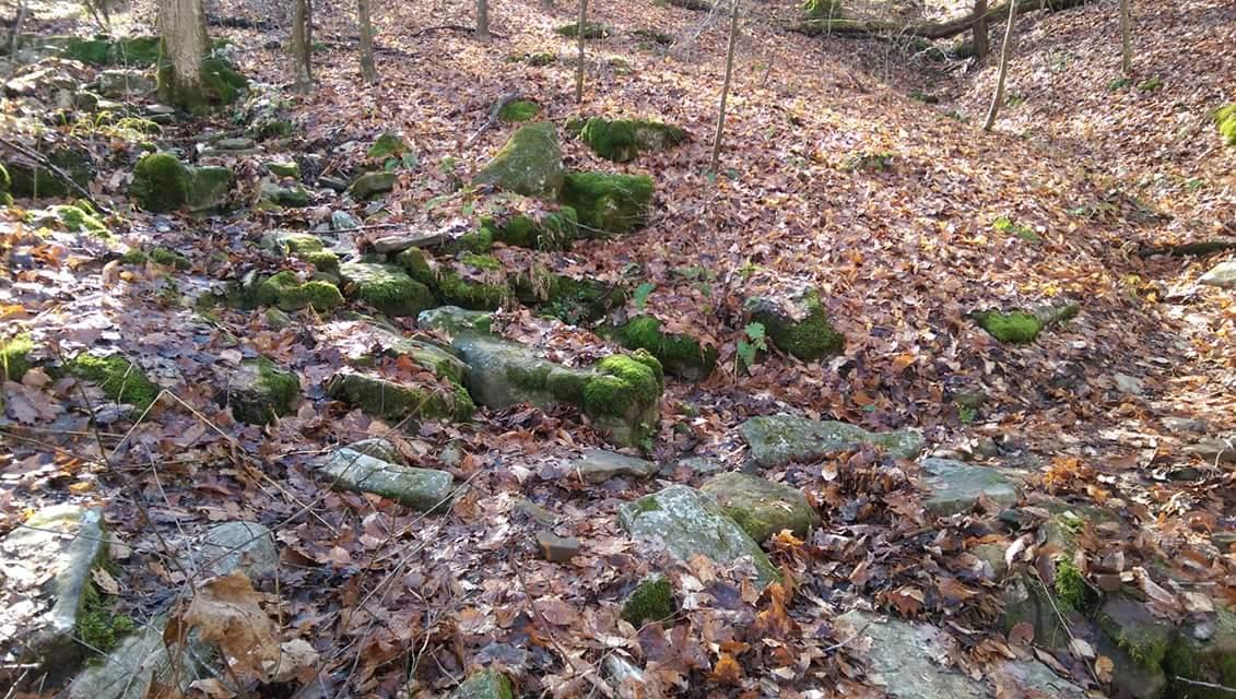 A forest floor covered with fallen leaves and patches of mossy rocks, surrounded by trees. The ground is uneven with various stones partially obscured by dry leaves. O'bannon Woods mountain bike trail.