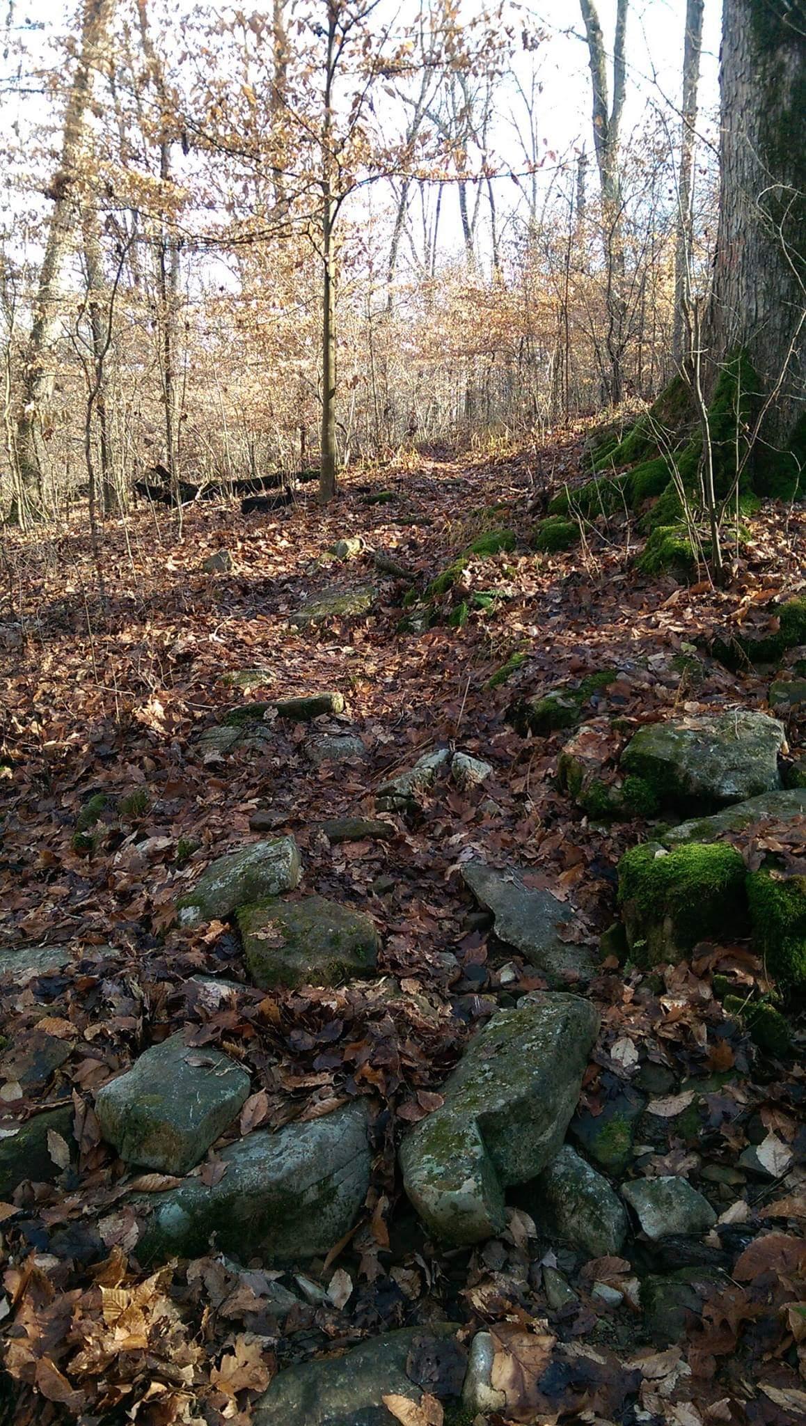 A wooded area with a rocky path covered in fallen leaves and dotted with mossy stones. Bare trees with a few remaining leaves can be seen in the background, suggesting a late autumn setting. O'bannon Woods mountain bike trail.