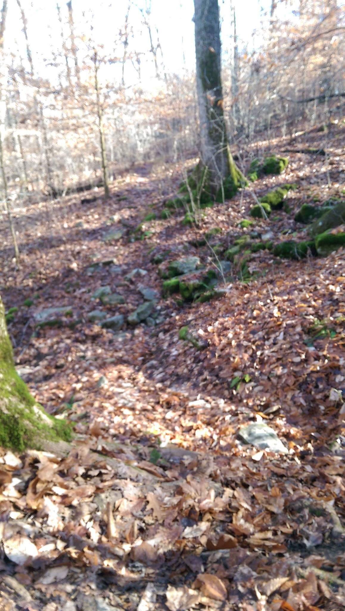 A forest path covered in autumn leaves, with trees on either side and moss-covered rocks in the background. The scene is bright but slightly out of focus, evoking a peaceful natural setting. O'bannon Woods mountain bike trail.