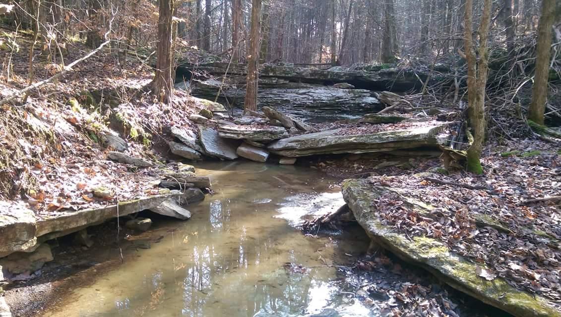 A serene forest scene featuring a small, shallow stream winding through a rocky landscape, surrounded by trees and leaf-covered ground. Sunlight filters through the foliage, creating dappled patterns on the water's surface and highlighting the textures of the stones. O'bannon Woods mountain bike trail.