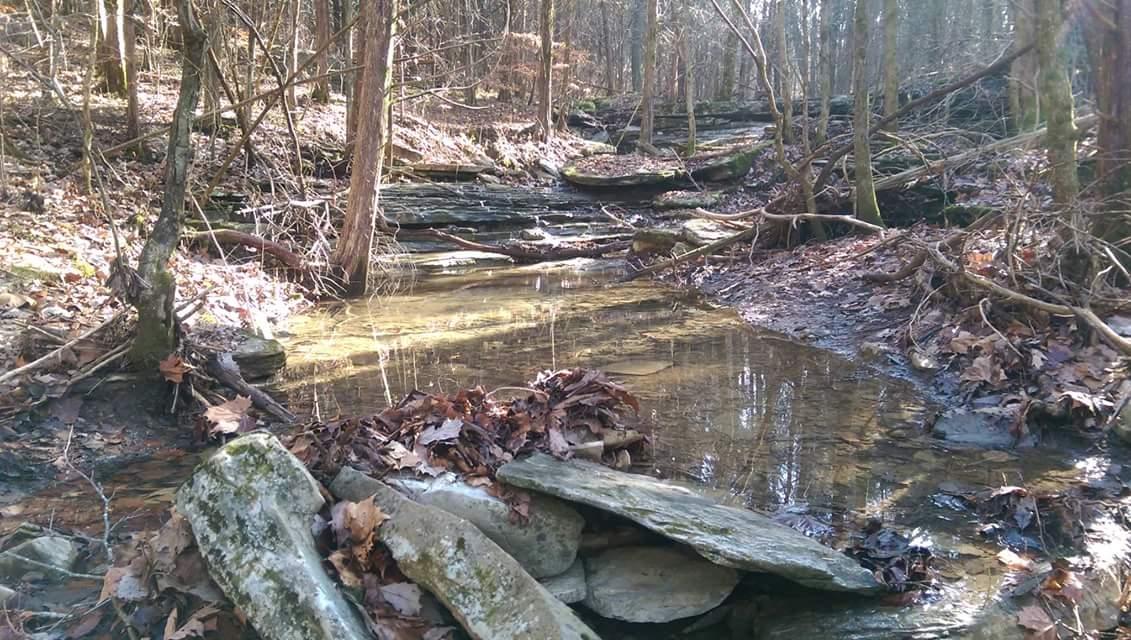 A serene forest scene featuring a small, shallow stream surrounded by rocky terrain and leaf-covered ground. Sunlight filters through the trees, casting gentle reflections on the water's surface, while bare branches and fallen leaves add to the tranquil atmosphere of the wooded environment. O'bannon Woods mountain bike trail.