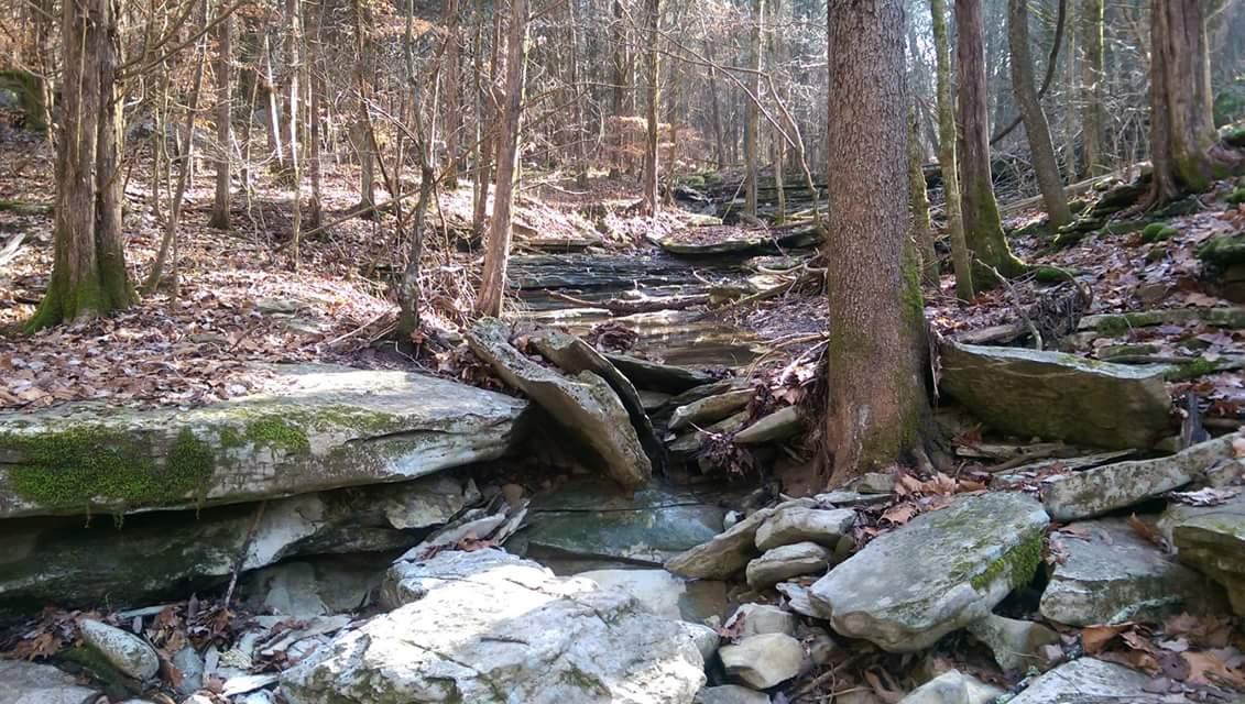 A serene forest scene featuring a rocky stream bed surrounded by trees. The ground is covered with scattered leaves and moss-covered stones, with sunlight filtering through the branches above, creating a peaceful natural atmosphere. O'bannon Woods mountain bike trail.