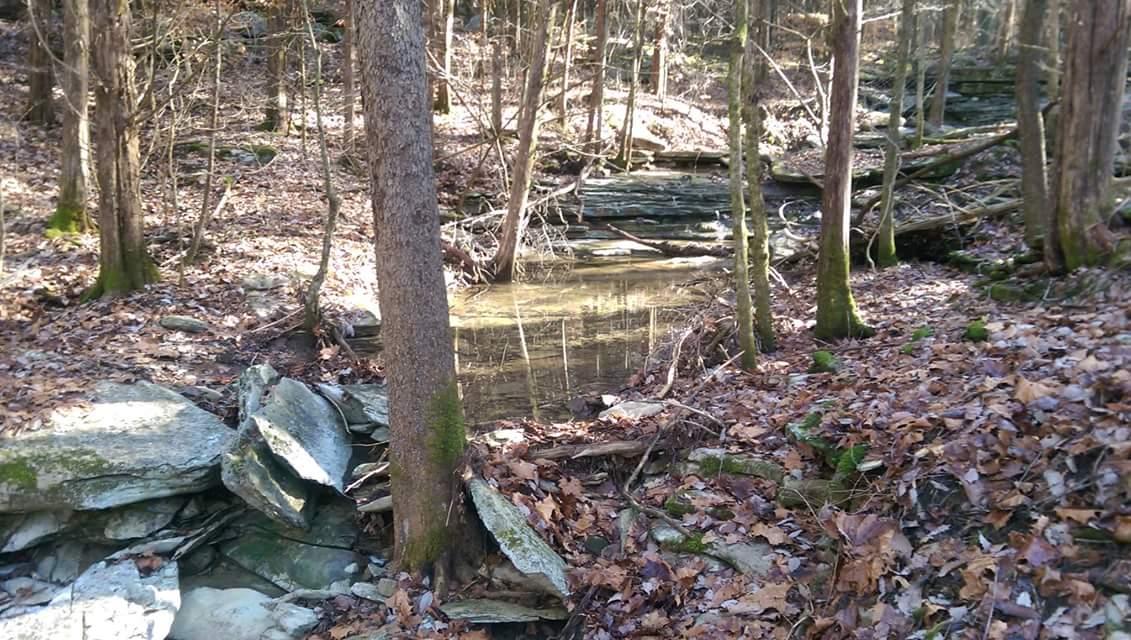 A tranquil forest scene featuring a small, calm pond surrounded by rocky terrain and leaf-covered ground. Trees with bare branches rise alongside the pond, reflecting in the water's surface. The area exhibits a natural, untouched wilderness atmosphere. O'bannon Woods mountain bike trail.