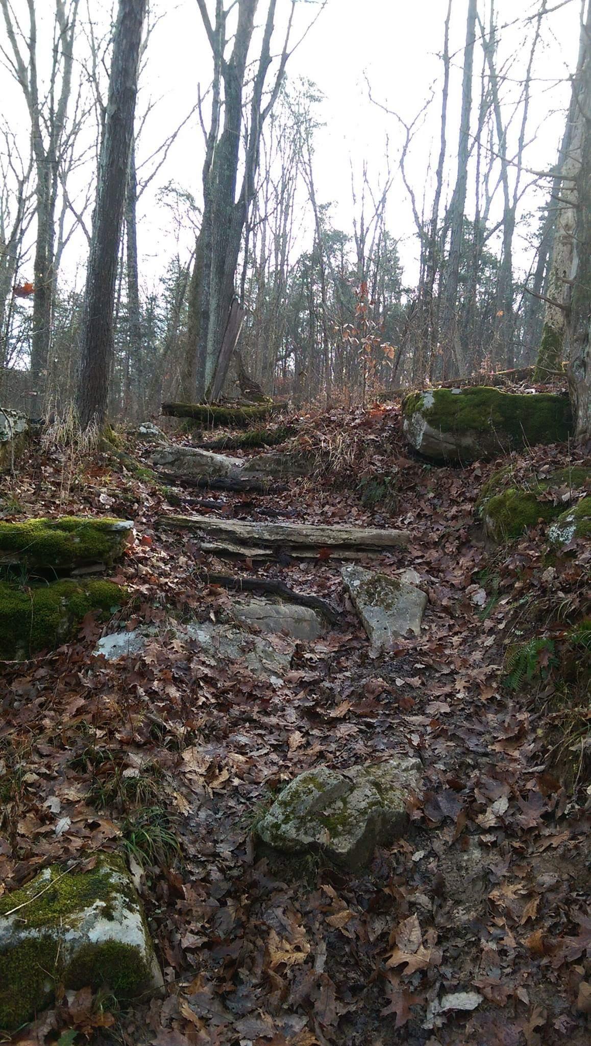 A narrow, winding trail through a wooded area, covered in fallen leaves. The path is flanked by rocks and mossy patches, with bare trees stretching overhead. The scene is set in a serene, natural environment. O'bannon Woods mountain bike trail.