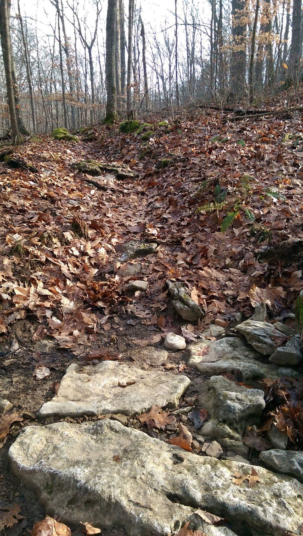 A narrow hiking trail covered with fallen leaves and stones, surrounded by bare trees in a forest. The path is lined with mossy rocks, indicating a natural setting. O'bannon Woods mountain bike trail.