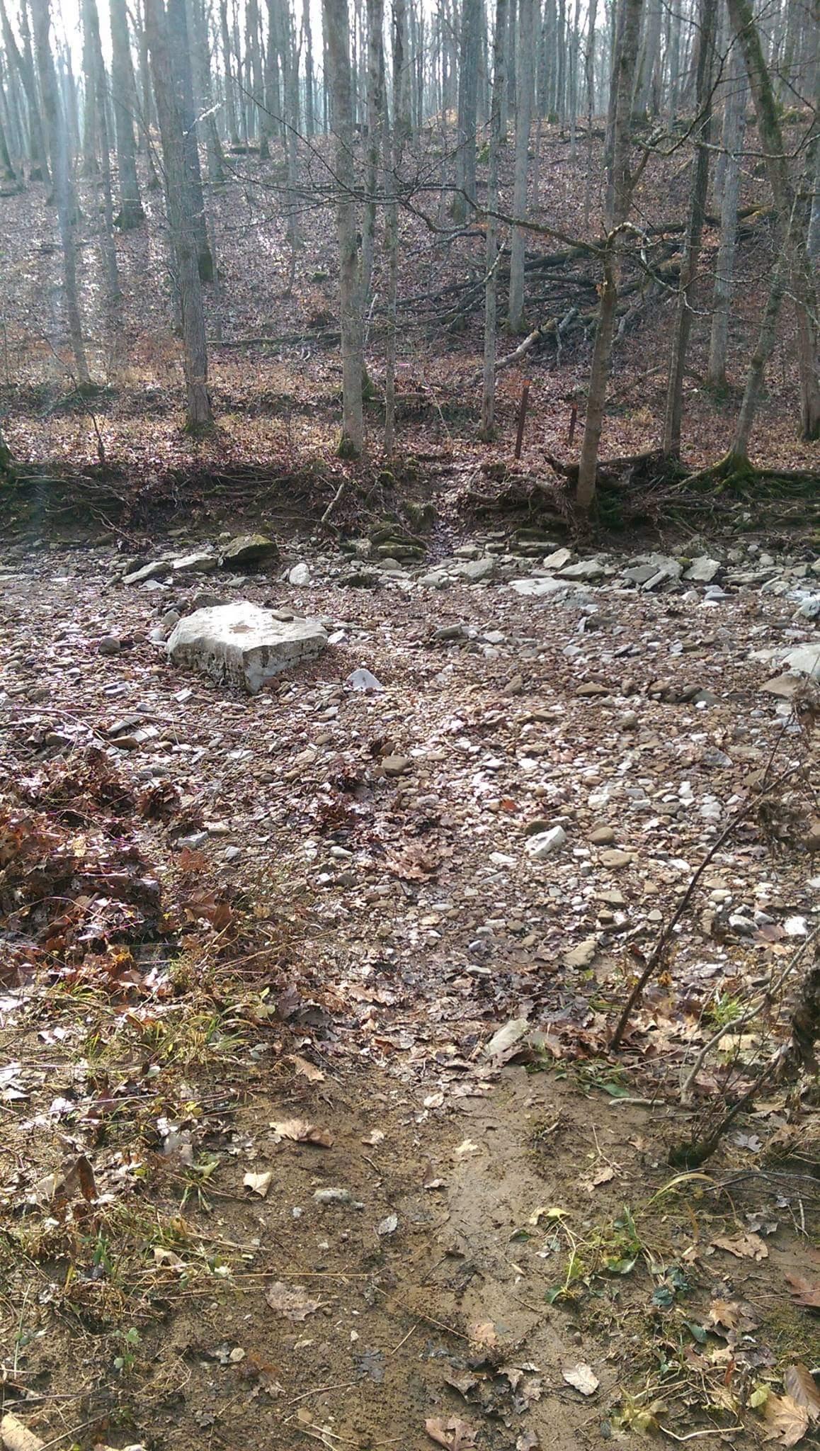 A forest landscape featuring a dry stream bed strewn with rocks and leaves, surrounded by trees with bare branches. The ground is covered with a mix of leaves and dirt, suggesting an early spring or late autumn setting. Sunlight filters through the trees, creating a serene atmosphere in the natural environment. O'bannon Woods mountain bike trail.