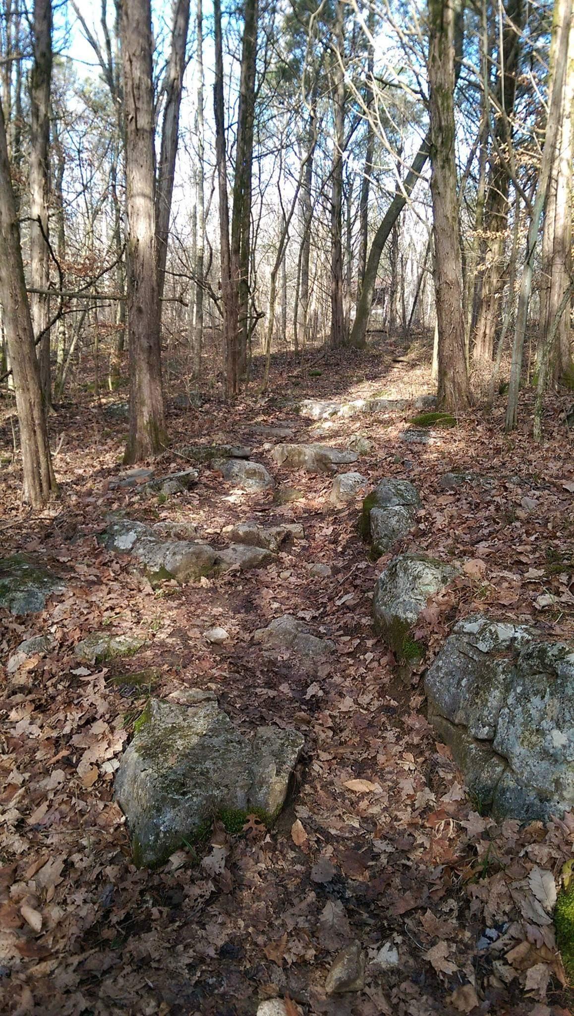 A forest path covered with fallen leaves and scattered rocks, surrounded by tall, bare trees. The trail winds upward, leading into the woods under a clear sky. O'bannon Woods mountain bike trail.