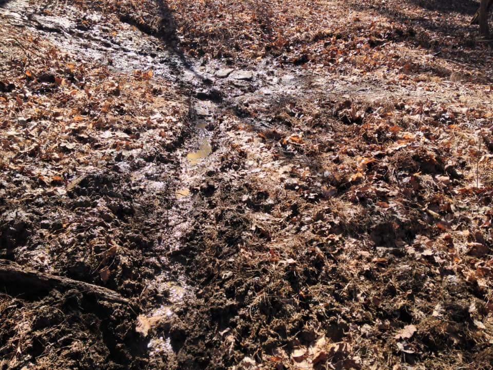 A muddy, leaf-strewn ground with visible tracks from tire treads running through it, indicating a recently disturbed area of nature. Puddles of water are present along the tracks, surrounded by a mix of dried leaves and bare earth. Sunlight filters through the trees, highlighting the texture of the mud and foliage. O'bannon Woods mountain bike trail.