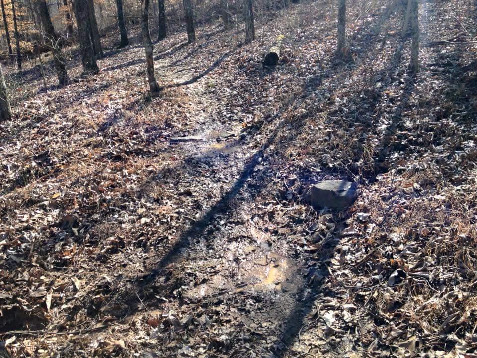 A narrow dirt path meandering through a wooded area, covered in fallen leaves with a few exposed rocks. Sunlight casts long shadows from the trees, creating a serene and tranquil atmosphere in nature. O'bannon Woods mountain bike trail.
