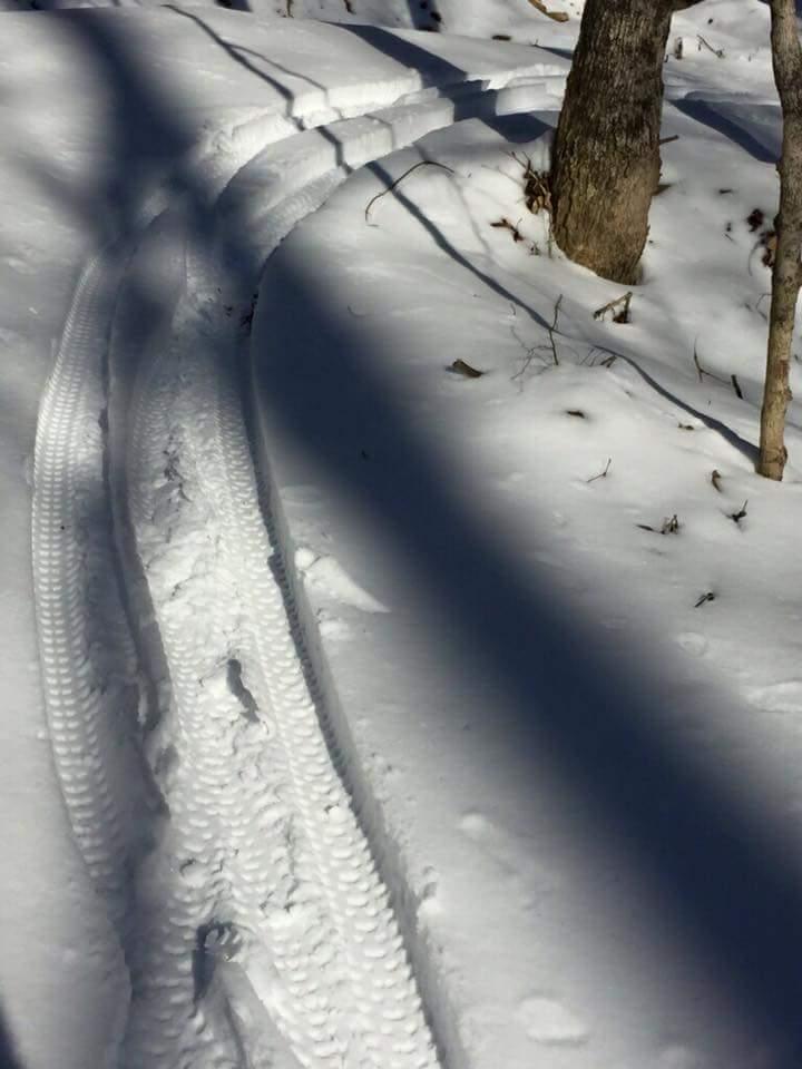 Two sets of tire tracks winding through a snowy landscape, with clear imprints in fresh snow. The surrounding area shows scattered shadows from nearby trees and hints of debris on the ground. O'bannon Woods mountain bike trail.