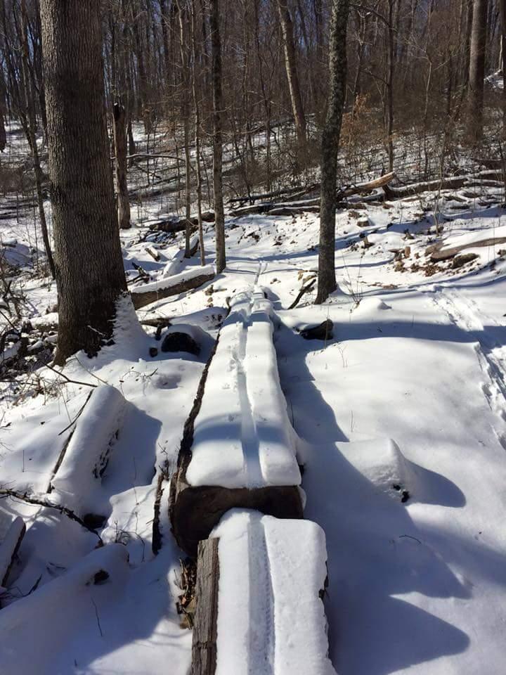 A snow-covered path runs through a forest, flanked by bare trees and scattered logs. The ground is blanketed in white snow, with subtle footprints leading along the logs. The scene captures the tranquility of a winter landscape. O'bannon Woods mountain bike trail.