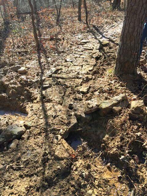 A rocky trail winding through a forested area, featuring uneven stones and muddy patches, with tree trunks and sparse foliage visible in the background. Sunlight filters through the trees, casting shadows on the ground. O'bannon Woods mountain bike trail.