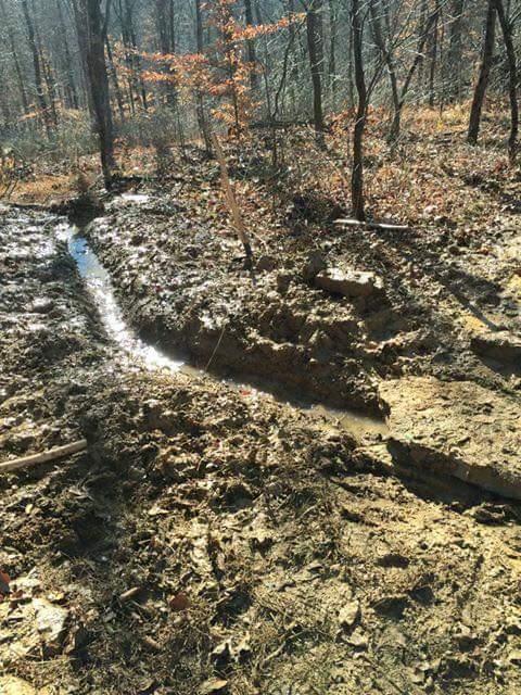 A narrow water channel meanders through a muddy forest floor, surrounded by leafless trees and scattered fallen leaves. The sunlight filters through the bare branches, illuminating the muddy terrain. O'bannon Woods mountain bike trail.