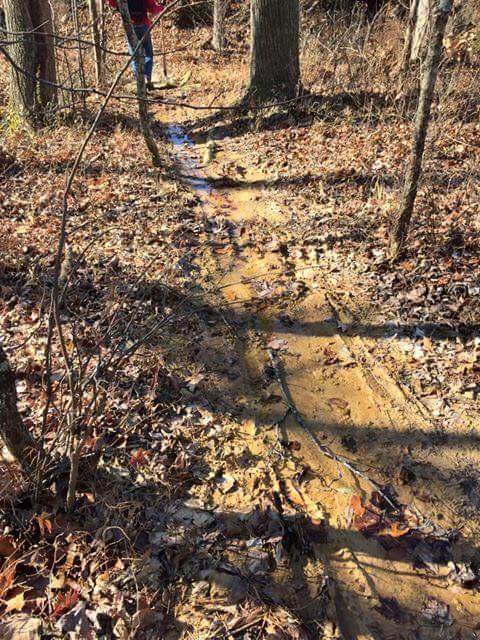 A narrow, muddy trail winding through a forest, surrounded by fallen leaves and trees. A person in the background is walking along the path, which shows signs of water flow. The sunlight filters through the trees, highlighting the muddy sections of the trail. O'bannon Woods mountain bike trail.