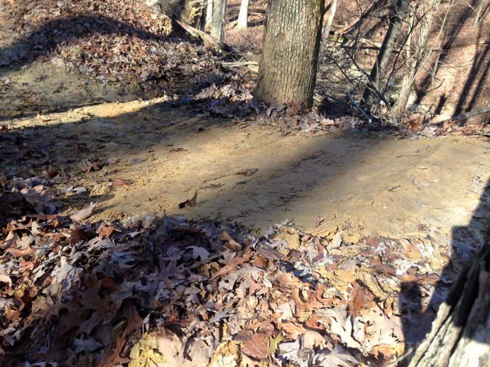 A dirt path covered with dried leaves and surrounded by trees, showing a sunlit area where the ground is bare and smooth. The scene captures the natural landscape with shadows cast by the surrounding trees. O'bannon Woods mountain bike trail.