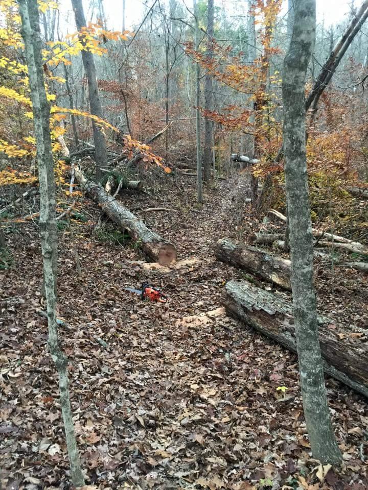 A forest scene featuring a narrow trail bordered by trees with autumn foliage. Several fallen logs are scattered along the path, and an orange chainsaw is positioned on the ground amidst fallen leaves. O'bannon Woods mountain bike trail.