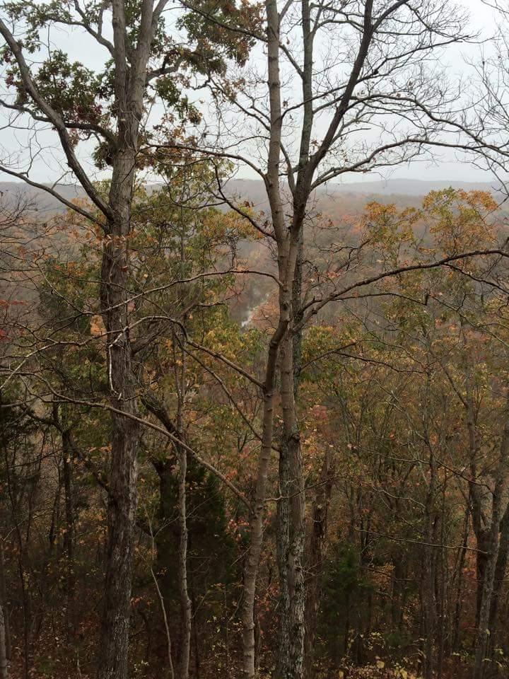 A view of a misty forest in autumn, featuring tall, bare trees with some remaining leaves in shades of yellow and orange. In the background, rolling hills can be seen partially obscured by fog, creating a serene and tranquil atmosphere. O'bannon Woods mountain bike trail.