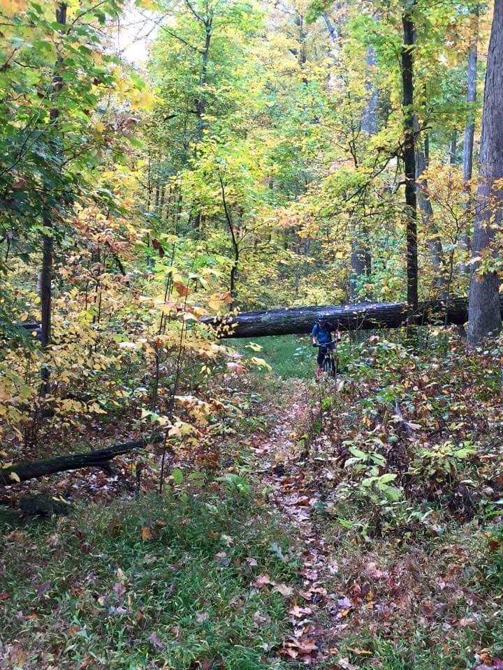 A person riding a bicycle on a narrow trail surrounded by vibrant autumn foliage, with a fallen tree obstructing part of the path in a wooded area. O'bannon Woods mountain bike trail.