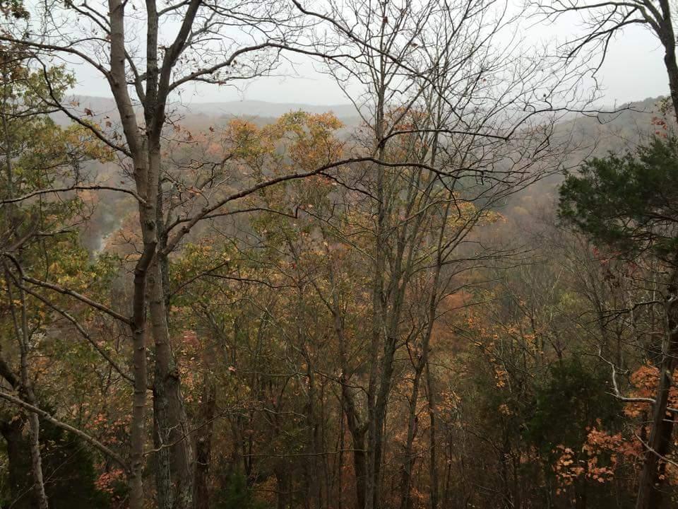 A scenic view of a wooded landscape with bare trees and autumn foliage, showing rolling hills in the background under a misty sky. O'bannon Woods mountain bike trail.
