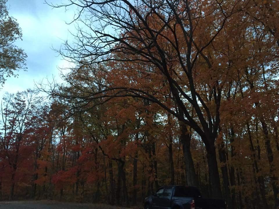 A serene autumn scene featuring a forest with vibrant orange and yellow foliage, partially cloudy skies, and a dark-colored truck parked along a gravel path. The trees are tall with branches extending towards the sky, creating a picturesque fall atmosphere. O'bannon Woods mountain bike trail.