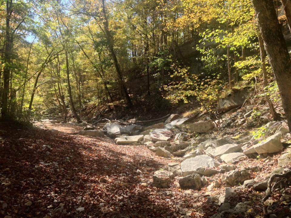 A peaceful forest scene featuring a dry creek bed surrounded by trees with vibrant autumn leaves. Sunlight filters through the foliage, casting dappled shadows on the rocky ground, which is covered in fallen leaves. The landscape showcases a blend of greenery and warm fall colors, indicating the transition of seasons. O'bannon Woods mountain bike trail.