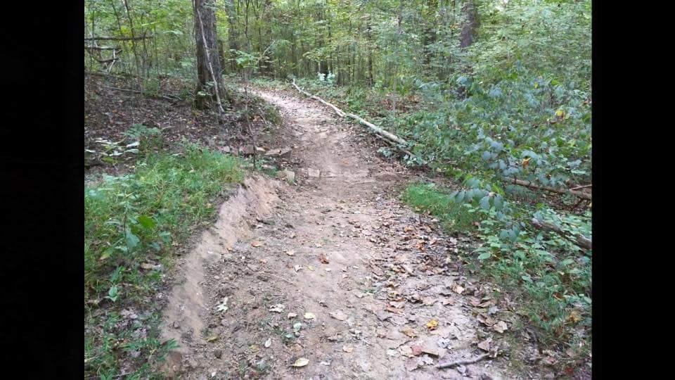 A winding dirt path through a wooded area, surrounded by green foliage and scattered autumn leaves. Sunlight filters through the trees, creating a serene outdoor atmosphere. O'bannon Woods mountain bike trail.