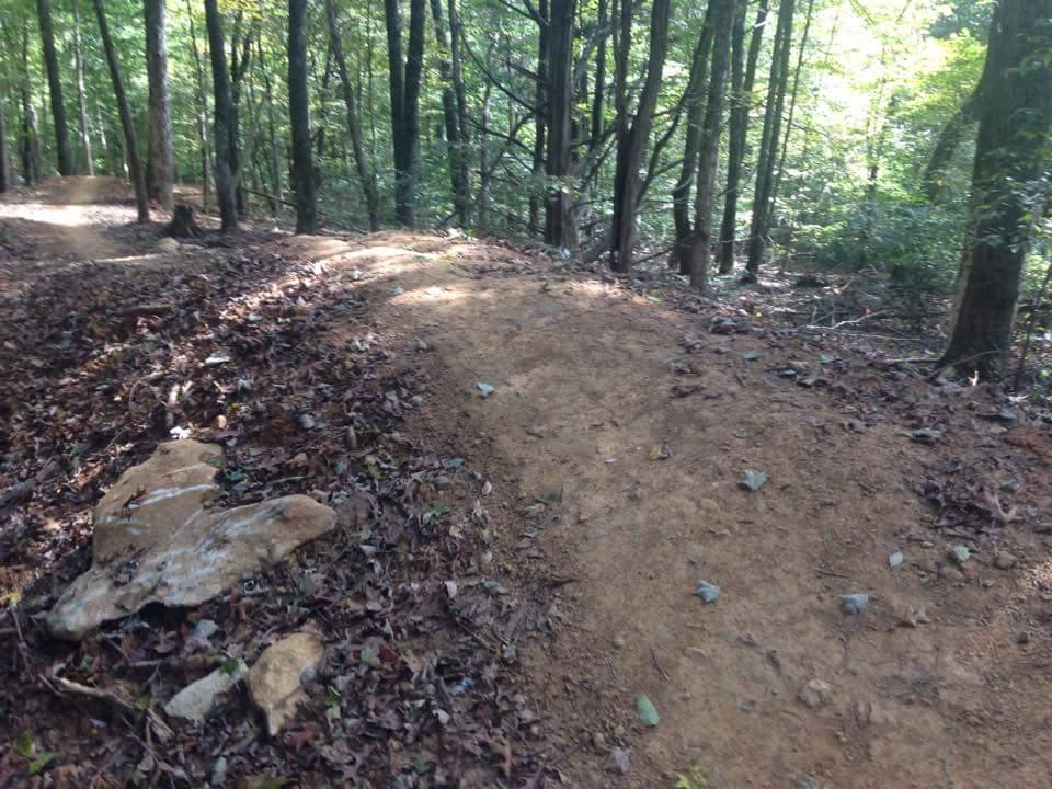 Trail winding through a wooded area, with a dirt path bordered by leaves and a few rocks. Sunlight filters through the trees, creating a dappled effect on the ground. O'bannon Woods mountain bike trail.