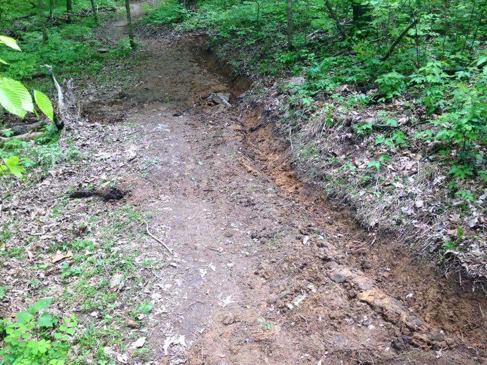A dirt trail in a wooded area, showing signs of erosion with a deep groove running along one side. Lush green foliage and leaf litter are scattered around the pathway, highlighting the natural surroundings. O'bannon Woods mountain bike trail.