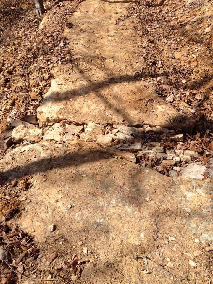 A dirt path winding through a forest, surrounded by rocks and scattered dry leaves on the ground. Sunlight casts shadows on the trail, highlighting its rugged texture. O'bannon Woods mountain bike trail.
