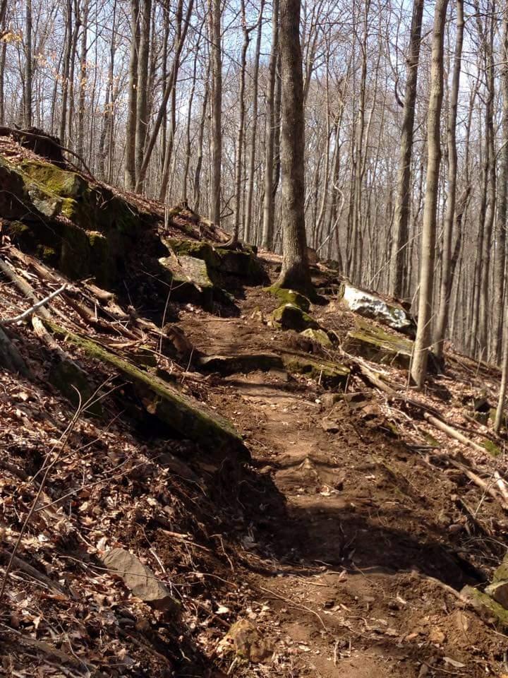 A winding dirt path leads through a sparsely wooded area with bare trees, rocky outcrops, and patches of moss. The ground is covered with fallen leaves and soil, indicating a natural outdoor setting in early spring. O'bannon Woods mountain bike trail.